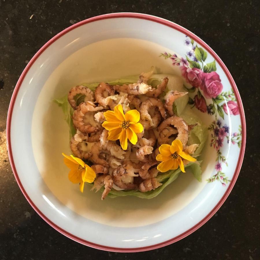 B&B Hoeve Welgelegen 데한 외부 사진